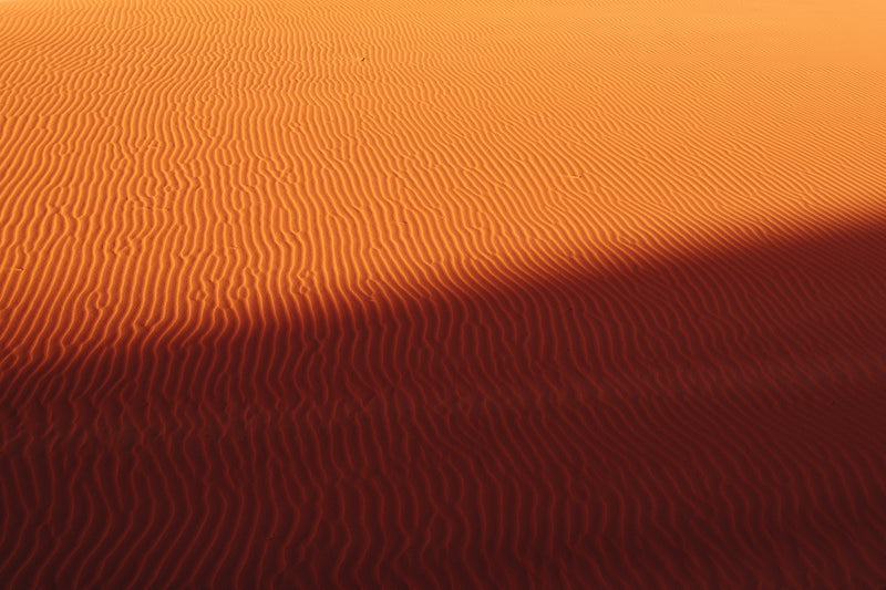 Sahara