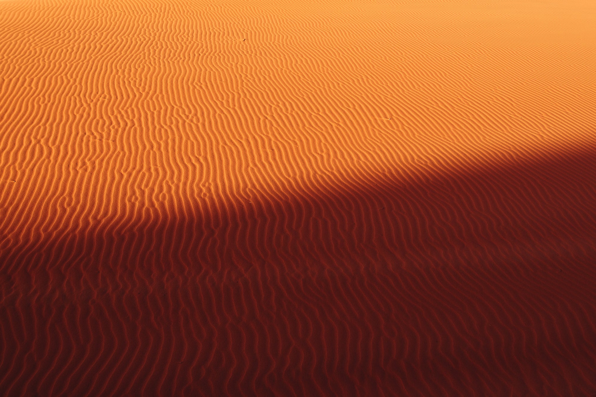 Sahara